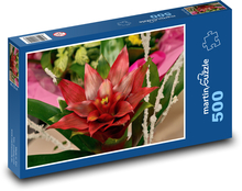 Červená květina - květ, zahrada Puzzle 500 - 46x30 cm