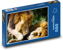 Lev - dravec, velká kočka Puzzle 500 - 46x30 cm