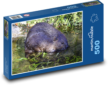Biber - Wassertier, Nagetier Puzzle 500 Teile - 46 x 30 cm