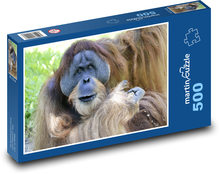 Orangutan - opice, zvíře Puzzle 500 dílků - 46 x 30 cm