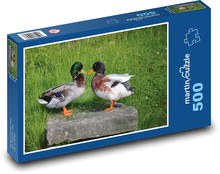 Kačice - vodné vtáky, zvieratá Puzzle 500 dielikov - 46 x 30 cm