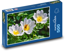 Šípek - bílý květ, včela Puzzle 500 dílků - 46 x 30 cm