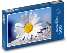 Kopretina - bílý květ, rostlina Puzzle 500 dílků - 46 x 30 cm