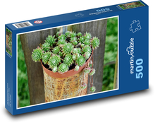 Kaktus - květináč, dekorace Puzzle 500 dílků - 46 x 30 cm