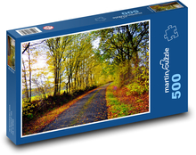 Podzimní krajina - silnice, stromy Puzzle 500 dílků - 46 x 30 cm