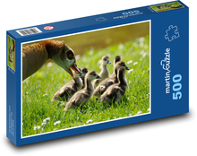Geese - chicks Puzzle of 500 pieces - 46 x 30 cm