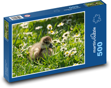 Mallard - duckling Puzzle of 500 pieces - 46 x 30 cm 