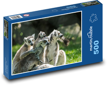 Lemuři - skupina lemurů Puzzle 500 dílků - 46 x 30 cm