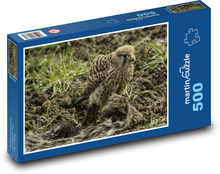 Sokol - dravý pták, příroda Puzzle 500 dílků - 46 x 30 cm