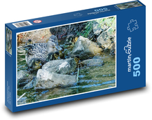 Kačica - mláďatá, potok Puzzle 500 dielikov - 46 x 30 cm 