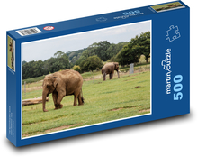 Sloni - safari, příroda Puzzle 500 dílků - 46 x 30 cm