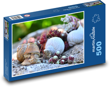 Slimák - plaziaci sa slimák, ulita Puzzle 500 dielikov - 46 x 30 cm 