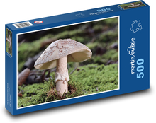 Mushroom - forest, nature Puzzle of 500 pieces - 46 x 30 cm 