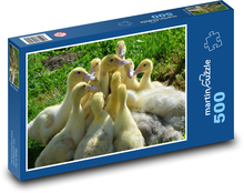 Ducks - cubs, animals Puzzle of 500 pieces - 46 x 30 cm 