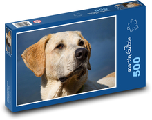 Pes - hlava, labrador Puzzle 500 - 46x30 cm