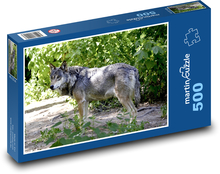 Vlk - lovec, dravec Puzzle 500 dílků - 46 x 30 cm