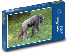 Monkey - chimpanzee, zoo Puzzle of 500 pieces - 46 x 30 cm 