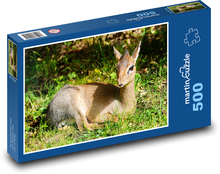 Damhirschkuh - jung, Tier Puzzle 500 Teile - 46 x 30 cm