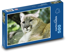 Puma - velká kočka, dravec Puzzle 500 dílků - 46 x 30 cm
