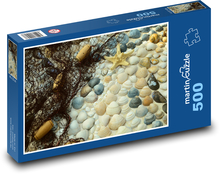 Kôrovce - lastúry, mušle Puzzle 500 dielikov - 46 x 30 cm 