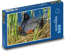 Łyska - ptak, gniazdo Puzzle 500 elementów - 46x30 cm