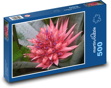 Bromelie - okrasná květina, rostlina Puzzle 500 dílků - 46 x 30 cm