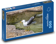 Racek - mořský pták, voda Puzzle 500 dílků - 46 x 30 cm