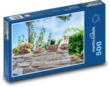 Mačky na múriku - domáci miláčikovia, zvieratá Puzzle 500 dielikov - 46 x 30 cm
