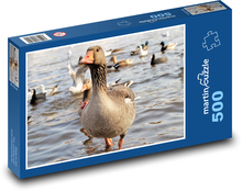 Gans - Wasservogel Puzzle 500 Teile - 46 x 30 cm