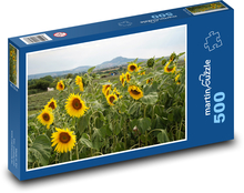 Slunečnice, pole Puzzle 500 dílků - 46 x 30 cm