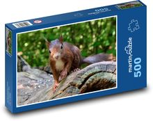 Nagetier - braunes Eichhörnchen Puzzle 500 Teile - 46 x 30 cm