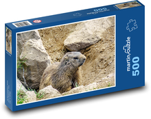 Alps - Marmot - Rodent Puzzle of 500 pieces - 46 x 30 cm 