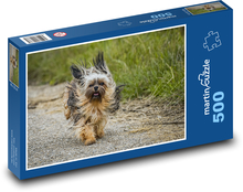 Tier - Hund - Chihuahua Puzzle 500 Teile - 46 x 30 cm