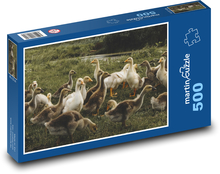 Kačice - vodné vtáky Puzzle 500 dielikov - 46 x 30 cm 
