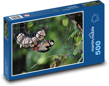 Dzięcioł przy karmniku - ptak, zwierzę Puzzle 500 elementów - 46x30 cm