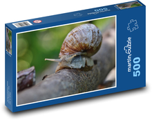 Schnecke - Muschel, Natur Puzzle 500 Teile - 46 x 30 cm