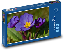 Petrklíč - fialová květina, rostlina Puzzle 500 dílků - 46 x 30 cm