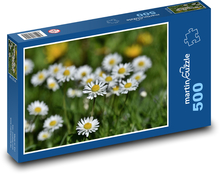Gänseblümchen - Blume, Pflanze Puzzle 500 Teile - 46 x 30 cm