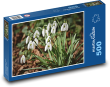 Białe przebiśniegi - wiosenne kwiaty, roślina Puzzle 500 elementów - 46x30 cm