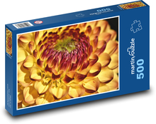 Oranžová georgína - kvetina, záhrada Puzzle 500 dielikov - 46 x 30 cm 