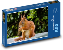 Zvíře, hlodavec - Veverka Puzzle 500 dílků - 46 x 30 cm