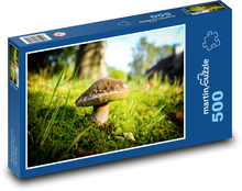Huba v lese - mach, jeseň Puzzle 500 dielikov - 46 x 30 cm 