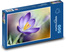Krokus - kvet, záhrada Puzzle 500 dielikov - 46 x 30 cm 