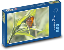 Okrídlený hmyz - medený motýľ, tráva Puzzle 500 dielikov - 46 x 30 cm