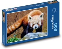 Roter Panda im Zoo Puzzle 500 Teile - 46 x 30 cm