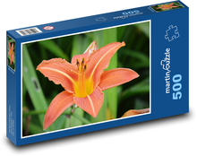 Kwiat - natura, makro Puzzle 500 elementów - 46x30 cm