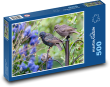 Junger Star - Vogel, Tier Puzzle 500 Teile - 46 x 30 cm