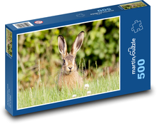 Hase im Gras - Ohren, Tier Puzzle 500 Teile - 46 x 30 cm