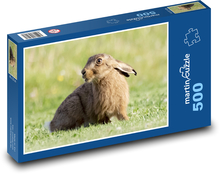 Mladý zajíc - zvíře, savec Puzzle 500 dílků - 46 x 30 cm
