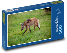 Ein Wolf mit einer Mähne - Weide, Tier Puzzle 500 Teile - 46 x 30 cm